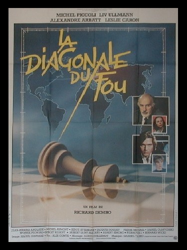 Affiche du film LA DIAGONALE DU FOU