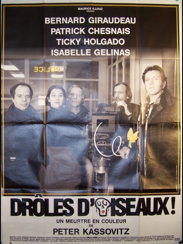 Affiche du film DRÔLE D'OISEAUX