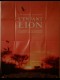 L'ENFANT LION