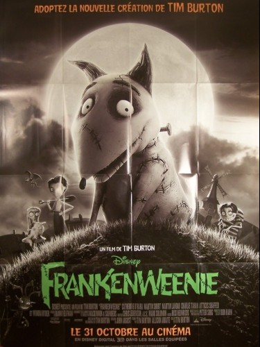 Affiche du film FRANKENWEENIE