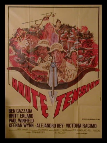 Affiche du film HAUTE TENSION