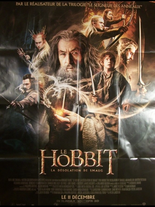 Affiche du film LE HOBBIT LA DESOLATION DE SMAUG