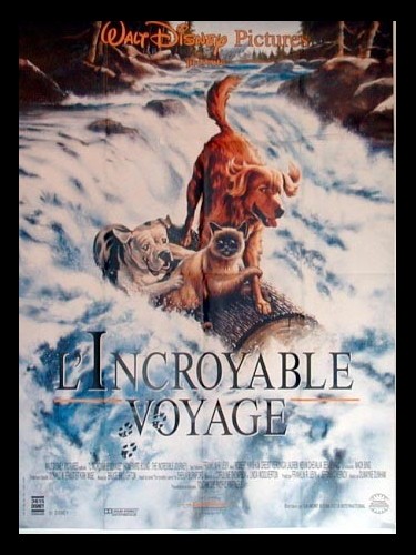 INCROYABLE VOYAGE (L') - HOMEWARD BOUND: THE INCREDIBLE JOURNEY