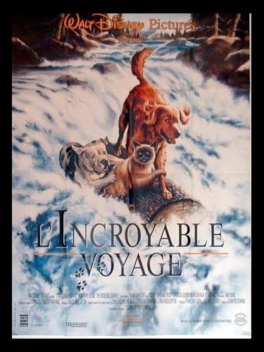 Affiche du film INCROYABLE VOYAGE (L') - HOMEWARD BOUND: THE INCREDIBLE JOURNEY