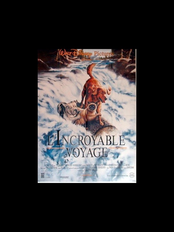 Affiche du film INCROYABLE VOYAGE (L') - HOMEWARD BOUND: THE INCREDIBLE JOURNEY