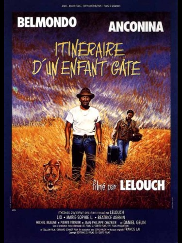 Affiche du film ITINERAIRE D'UN ENFANT GATE