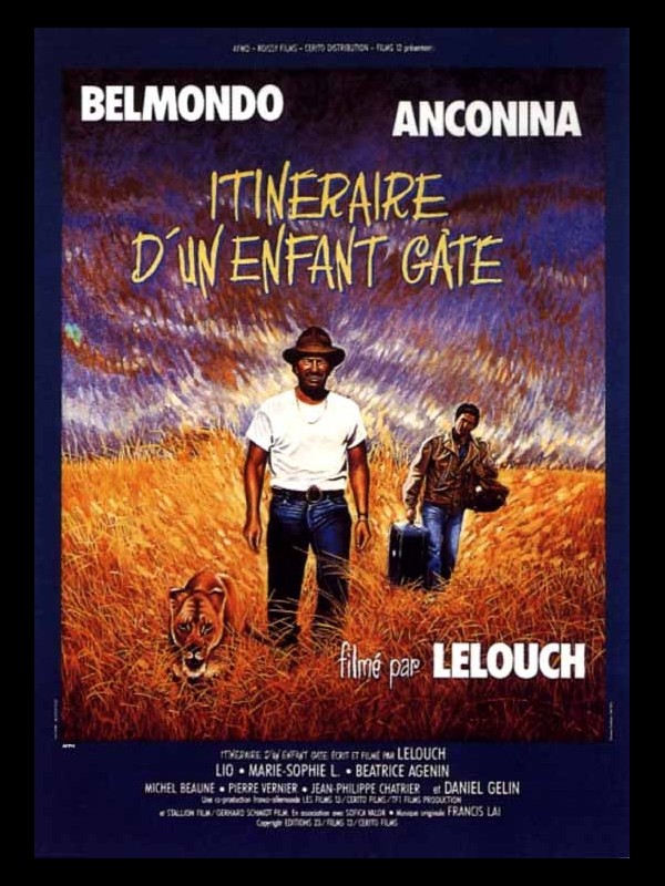 Affiche du film ITINERAIRE D'UN ENFANT GATE