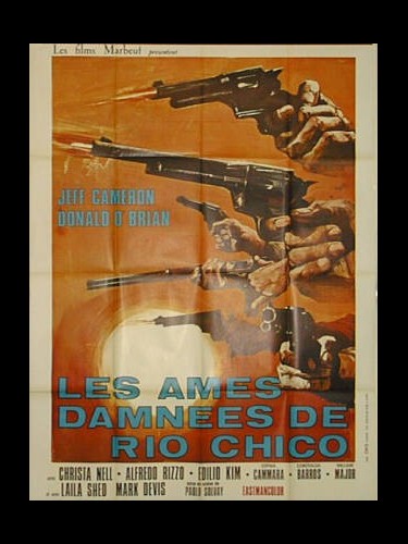 Affiche du film AMES DAMNEES DE RIO CHICO(LES)