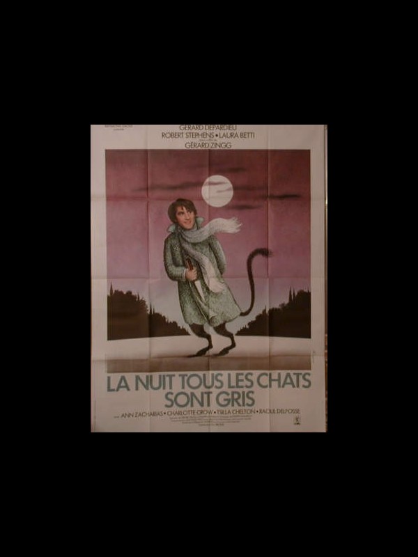 Affiche du film LA NUIT TOUS LES CHATS SONT GRIS