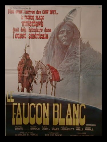 Affiche du film LE FAUCON BLANC