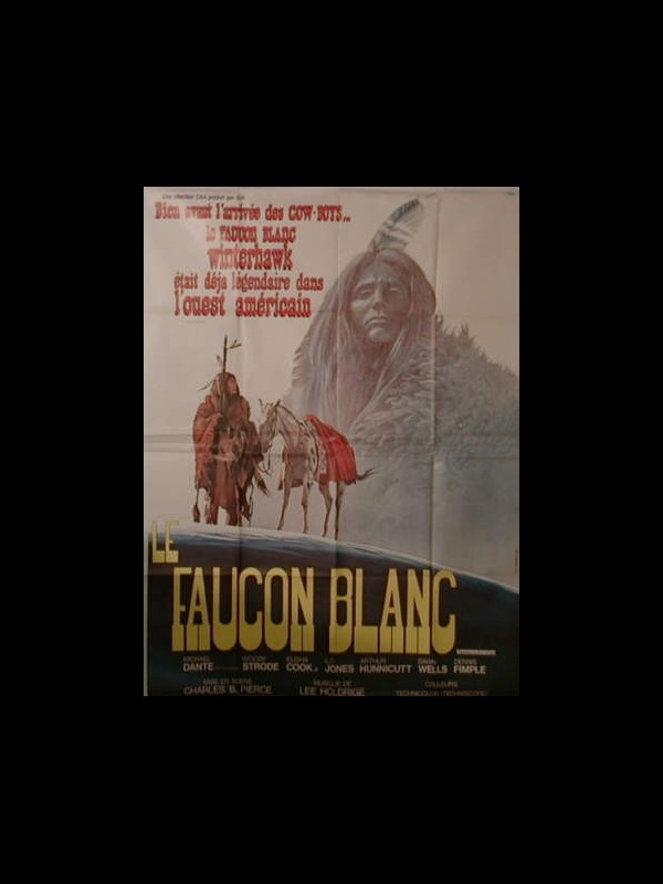 Affiche du film LE FAUCON BLANC