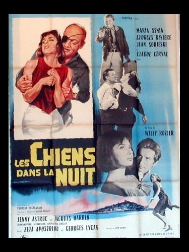 Affiche du film LES CHIENS DANS LA NUIT