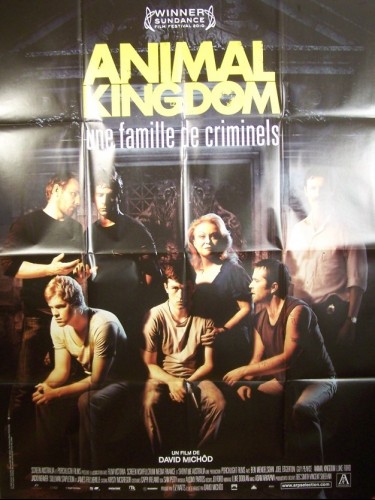 Affiche du film ANIMAL KINGDOM
