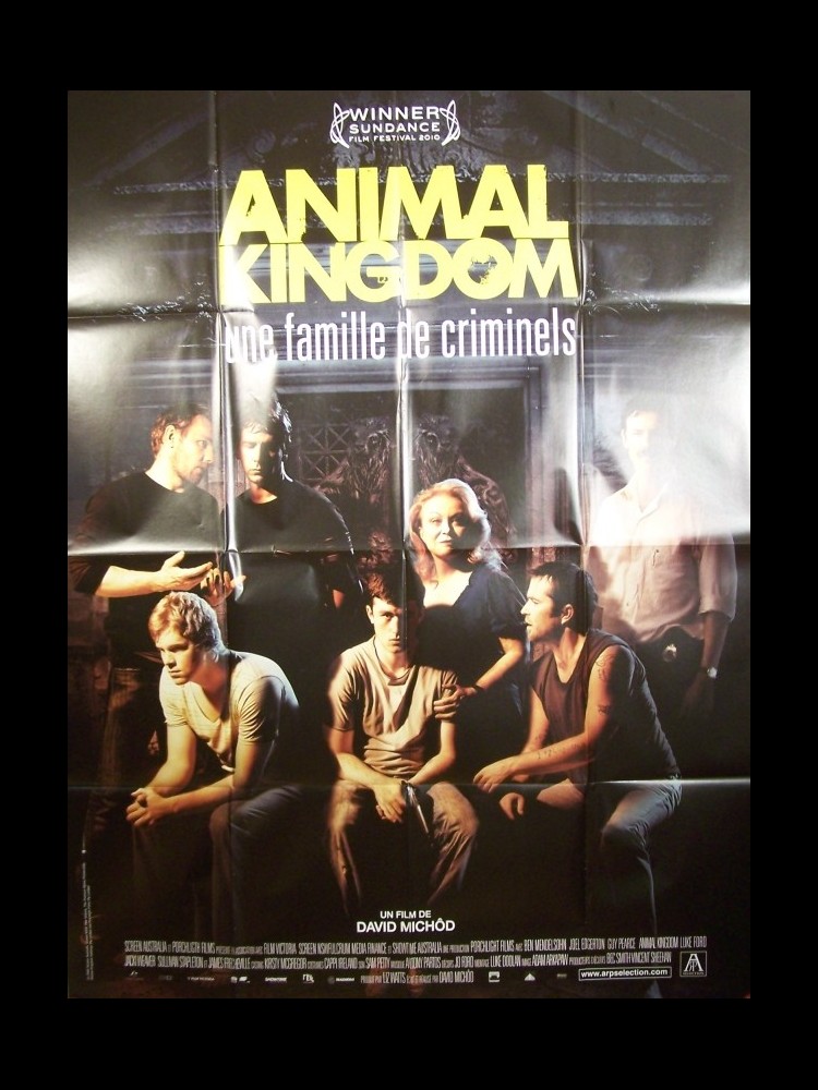Affiche du film ANIMAL KINGDOM - CINEMAFFICHE