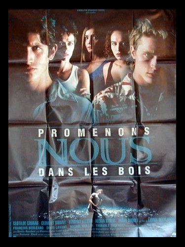 Affiche du film PROMENONS-NOUS DANS LE BOIS