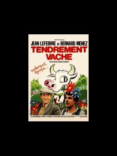 Affiche du film TENDREMENT VACHE