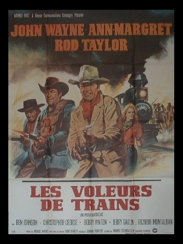 Affiche du film VOLEURS DE TRAIN (LES) - THE TRAIN ROBBERS