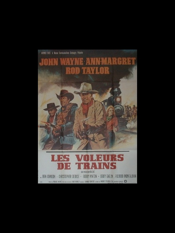 Affiche du film VOLEURS DE TRAIN (LES) - THE TRAIN ROBBERS