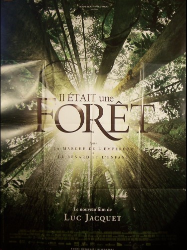 Affiche du film IL ETAIT UNE FORET