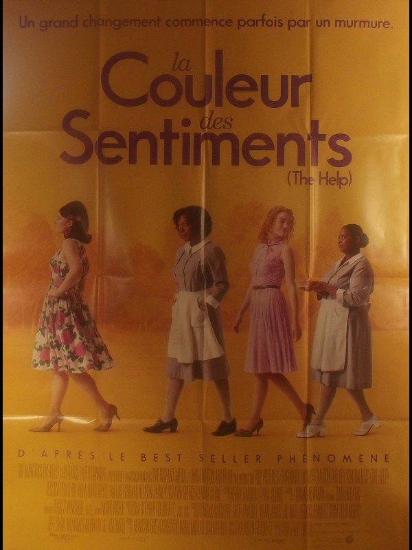 Affiche du film LA COULEUR DES SENTIMENTS