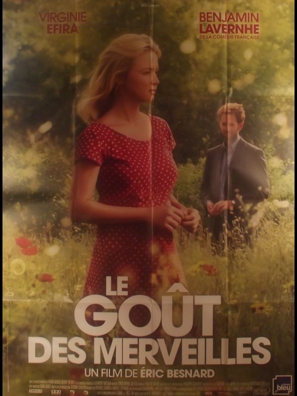 Affiche du film LE GOUT DES MERVEILLES