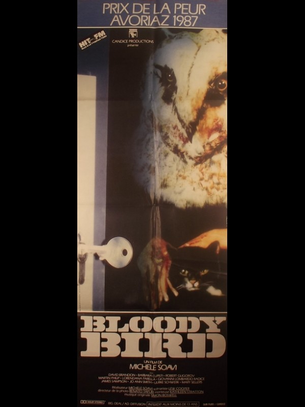 Affiche du film BLOODY BIRD - Titre original : DELIRIA