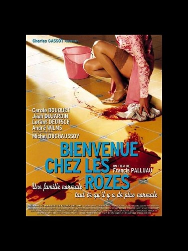 Affiche du film BIENVENUE CHEZ LES ROZES