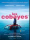 LES COBAYES