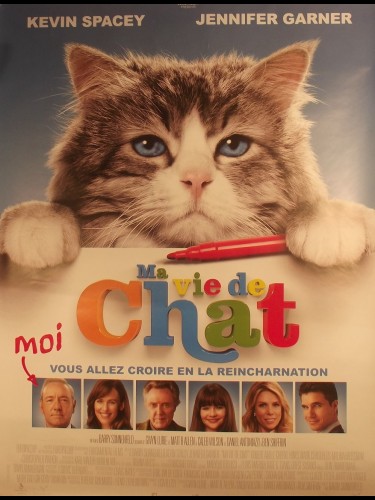 MA VIE DE CHAT - Titre original : NINE LIVES