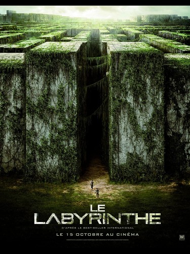 LE LABYRINTHE - Titre original : THE MAZE RUNNER