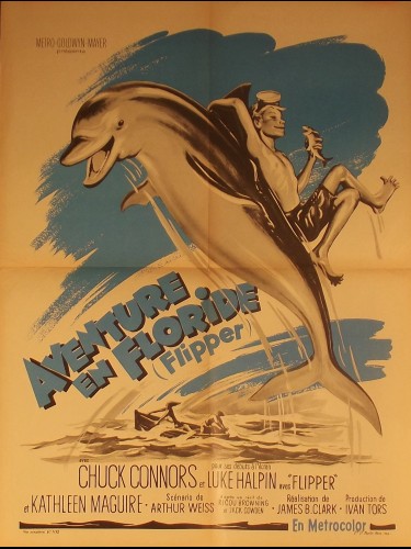 Affiche du film AVENTURE EN FLORIDE - FLIPPER