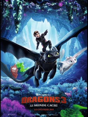 Affiche du film DRAGON 3 - LE MONDE CACHE