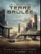 LE LABYRINTHE : TERRE BRULEE