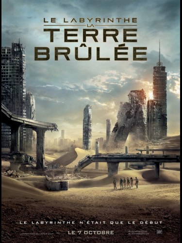 Affiche du film LE LABYRINTHE : TERRE BRULEE