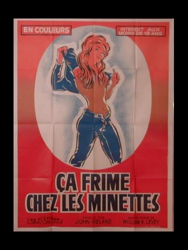 Affiche du film CA FRIME CHEZ LES MINETTES