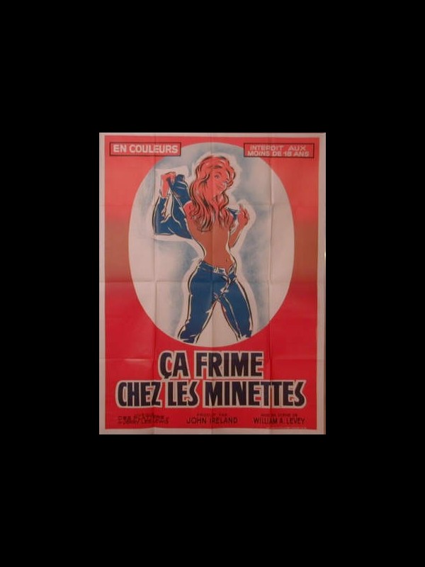 Affiche du film CA FRIME CHEZ LES MINETTES