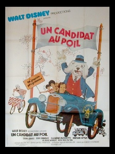 Affiche du film UN CANDIDAT AU POIL