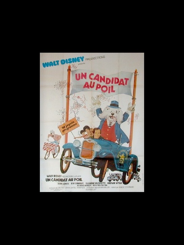 Affiche du film CANDIDAT AU POIL (UN)