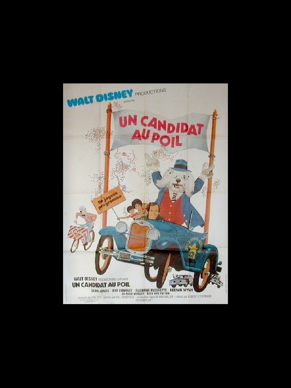 Affiche du film UN CANDIDAT AU POIL