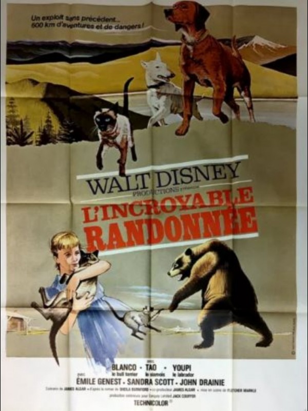 Affiche du film L'INCROYABLE RANDONNEE - Titre original : THE INCREDIBLE JOURNEY