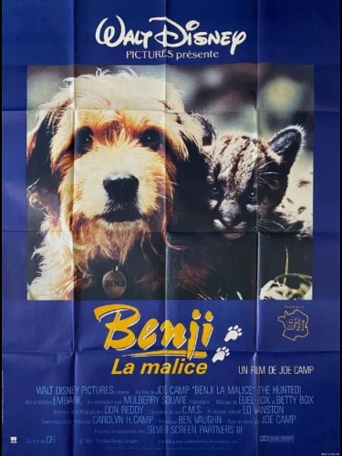 Affiche du film BENJI LA MALICE