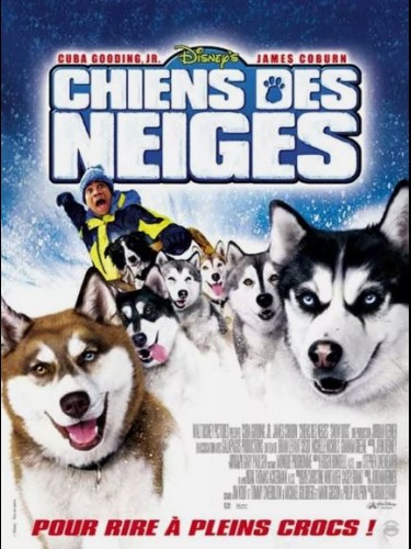 Affiche du film CHIENS DES NEIGES