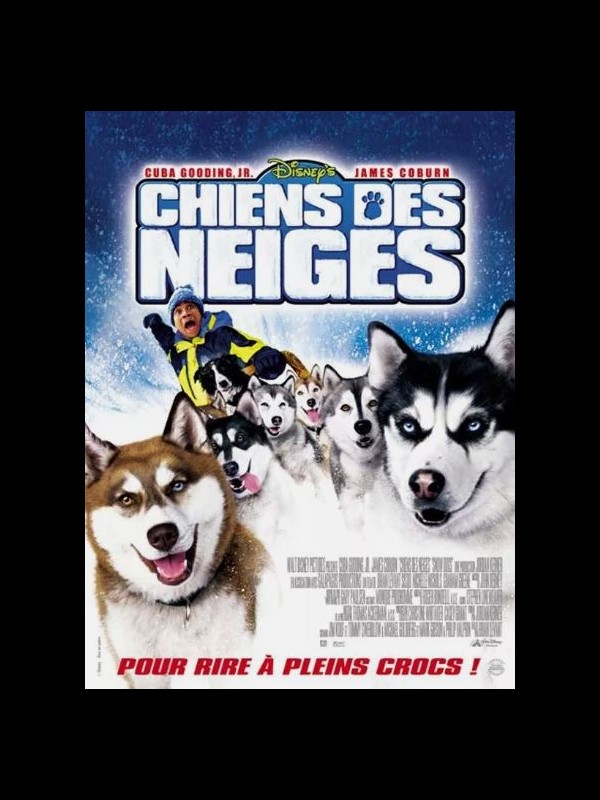 Affiche du film CHIENS DES NEIGES
