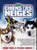 CHIENS DES NEIGES