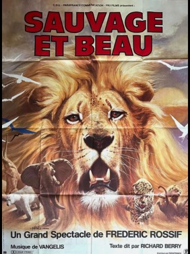 Affiche du film SAUVAGE ET BEAU