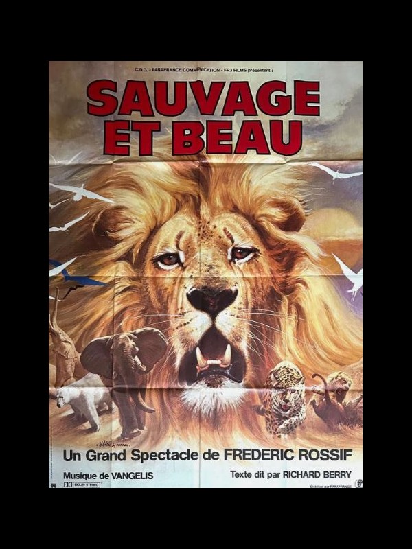 Affiche du film SAUVAGE ET BEAU