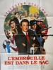 L'EMBROUILLE EST DANS LE SAC