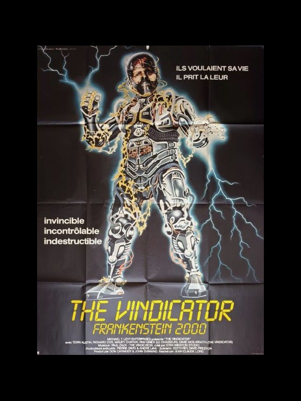 Affiche du film THE VINDICATOR