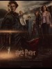 HARRY POTTER ET LA COUPE DE FEU