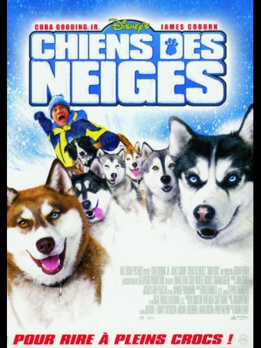 Affiche du film CHIENS DES NEIGES